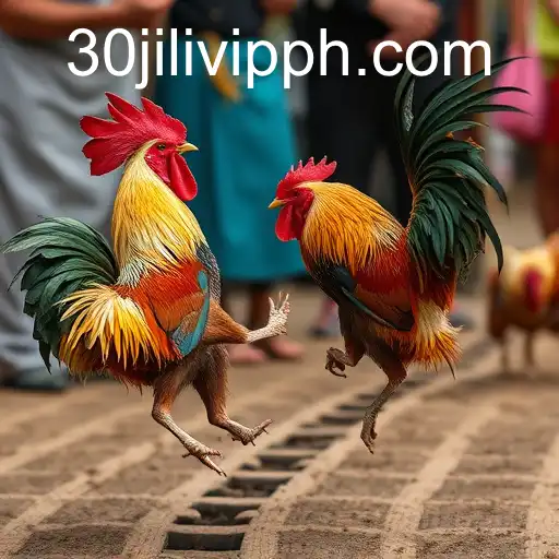 The Complex World of Cockfighting and Its Modern Connections to 30JILI VIP